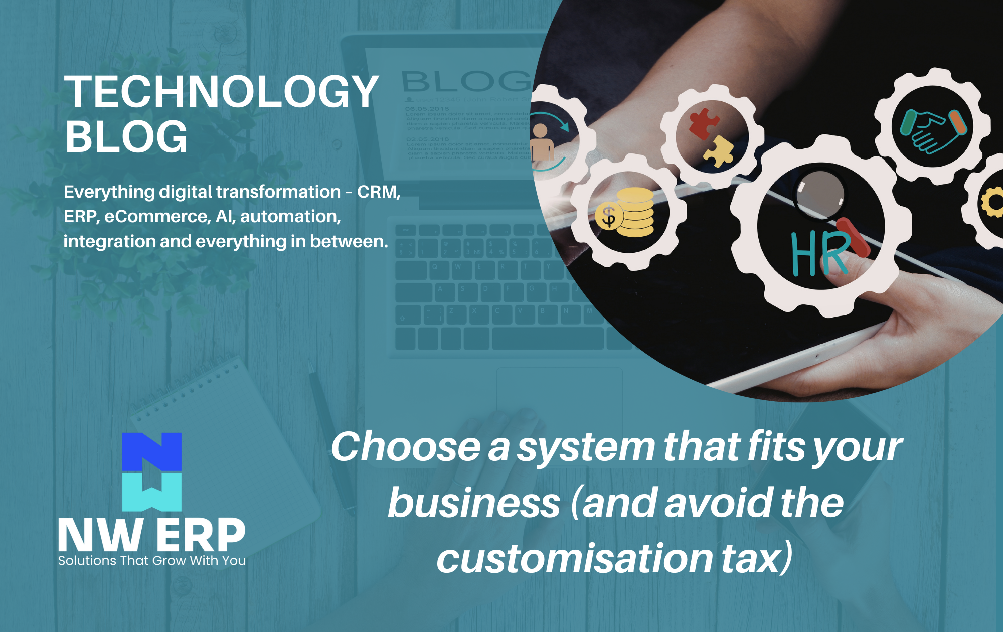 Diagram showing ERP system fit versus custom development costs